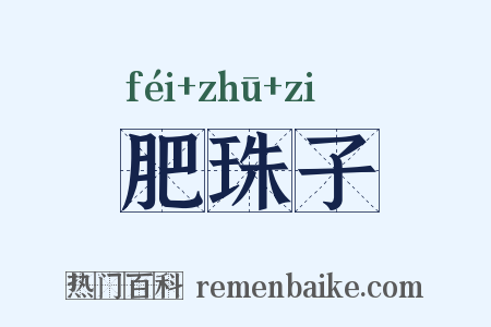 肥珠子是什么意思的图片